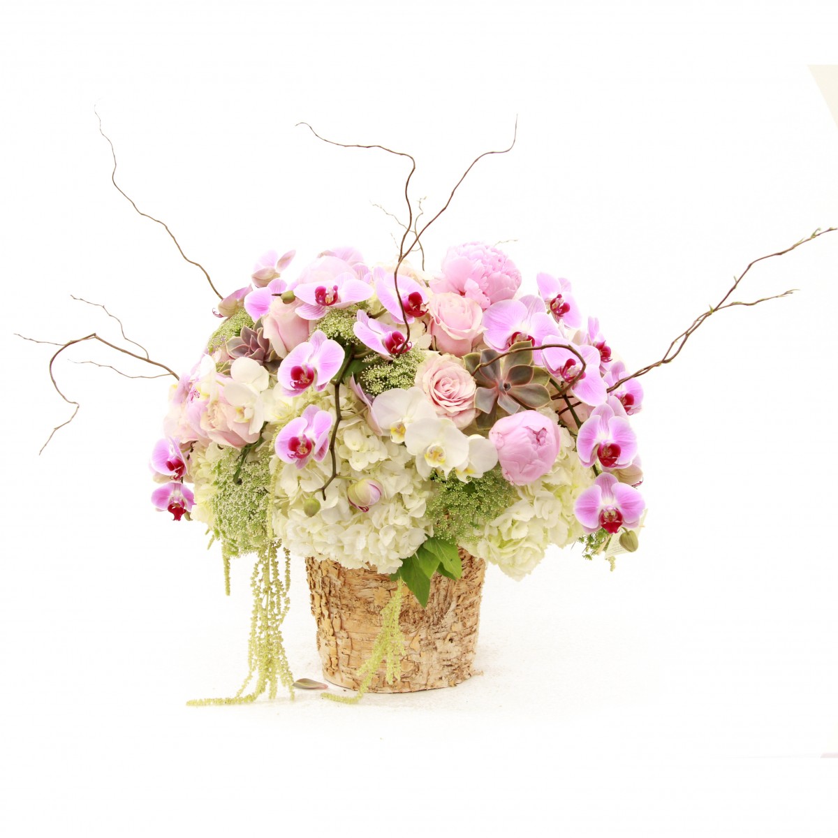 couture-7599