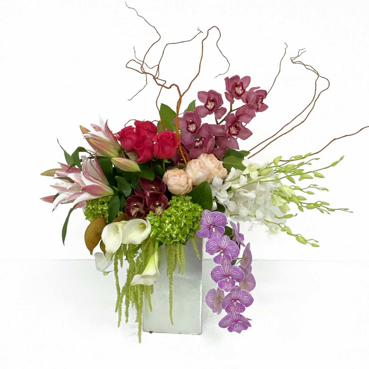 mv-0384 - Image 4