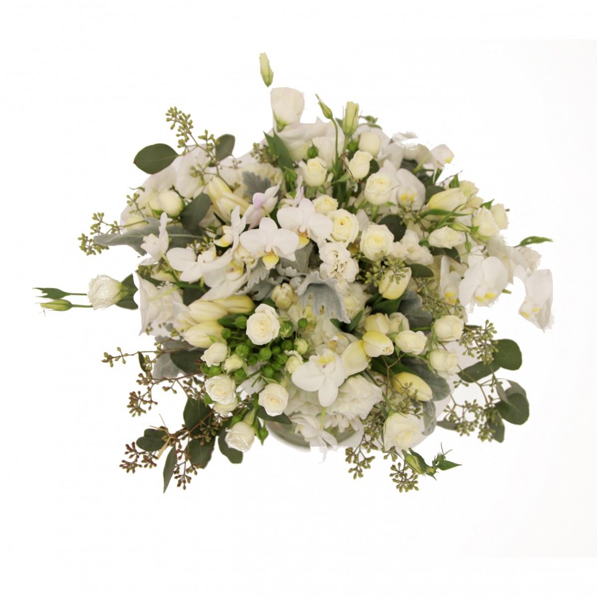 scv-8026 - Image 2