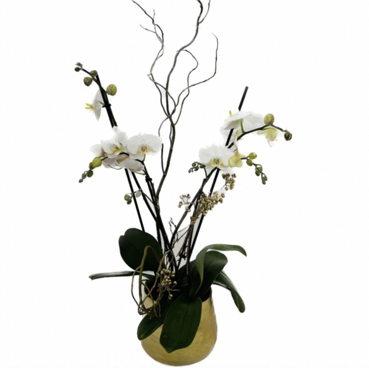 op- 22337 - Image 2