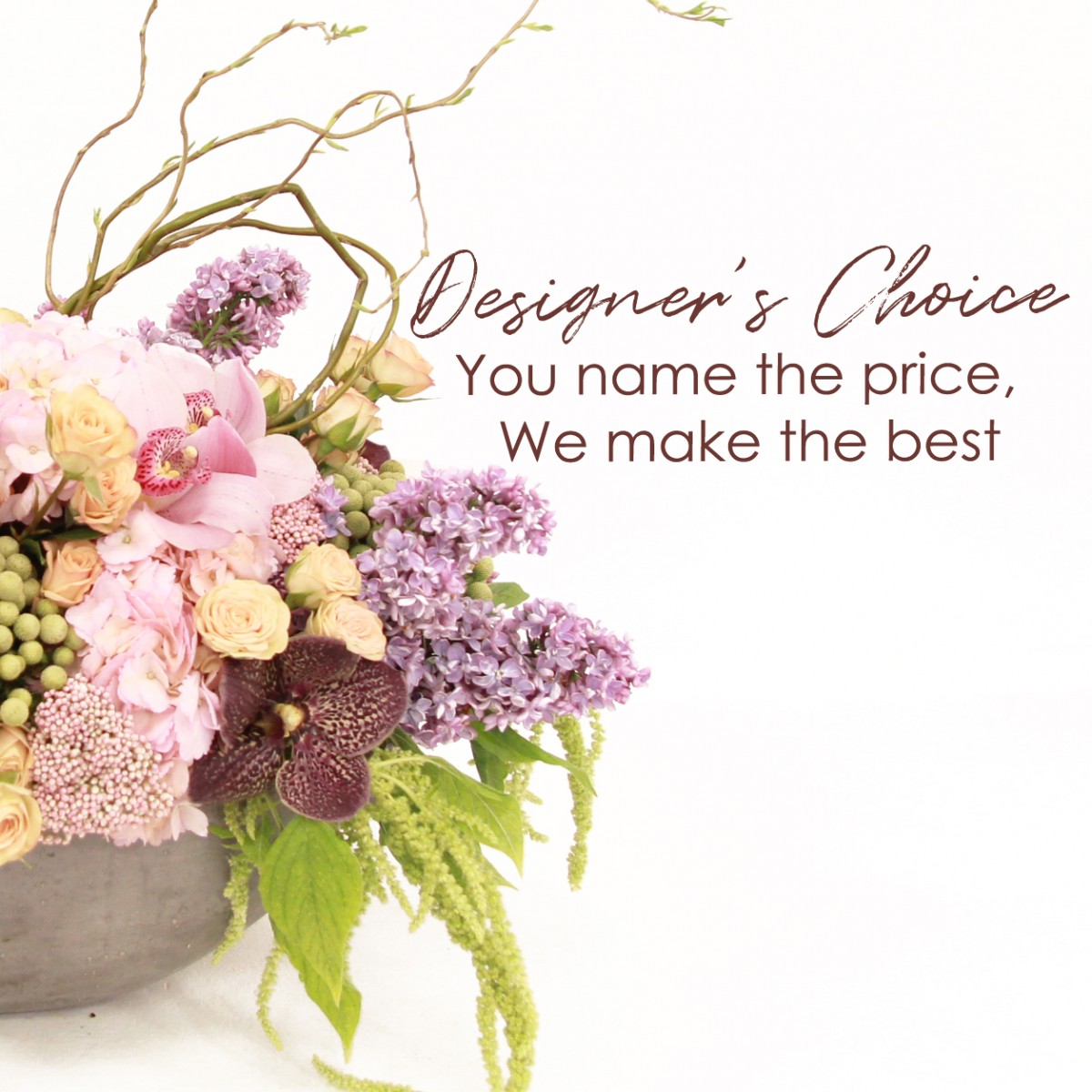 Designer's Choice Plants Starting At