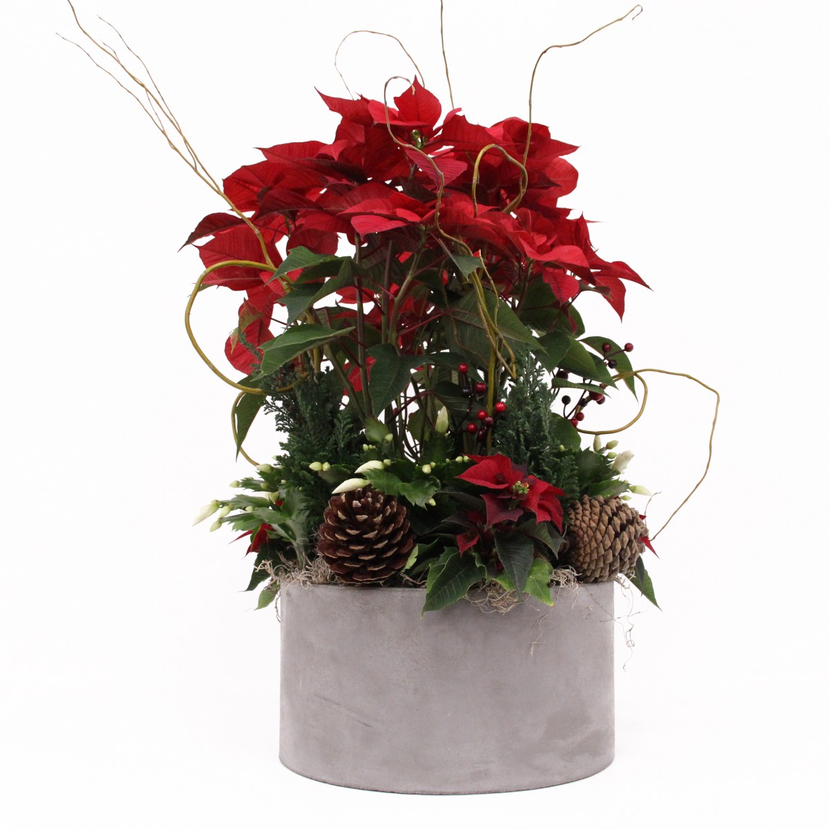 cw-0347 - Image 3