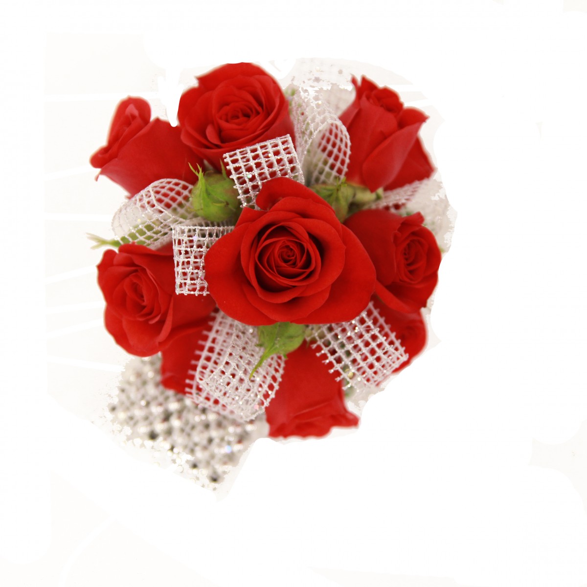 cors-6436 - Image 2