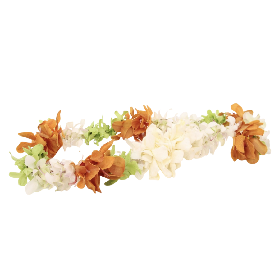 lei-1013