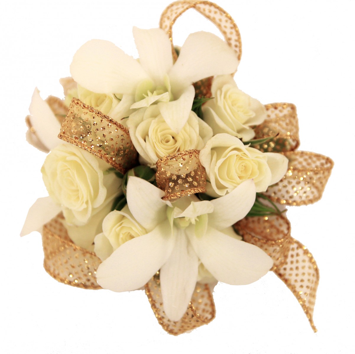 cors-7088 - Image 2