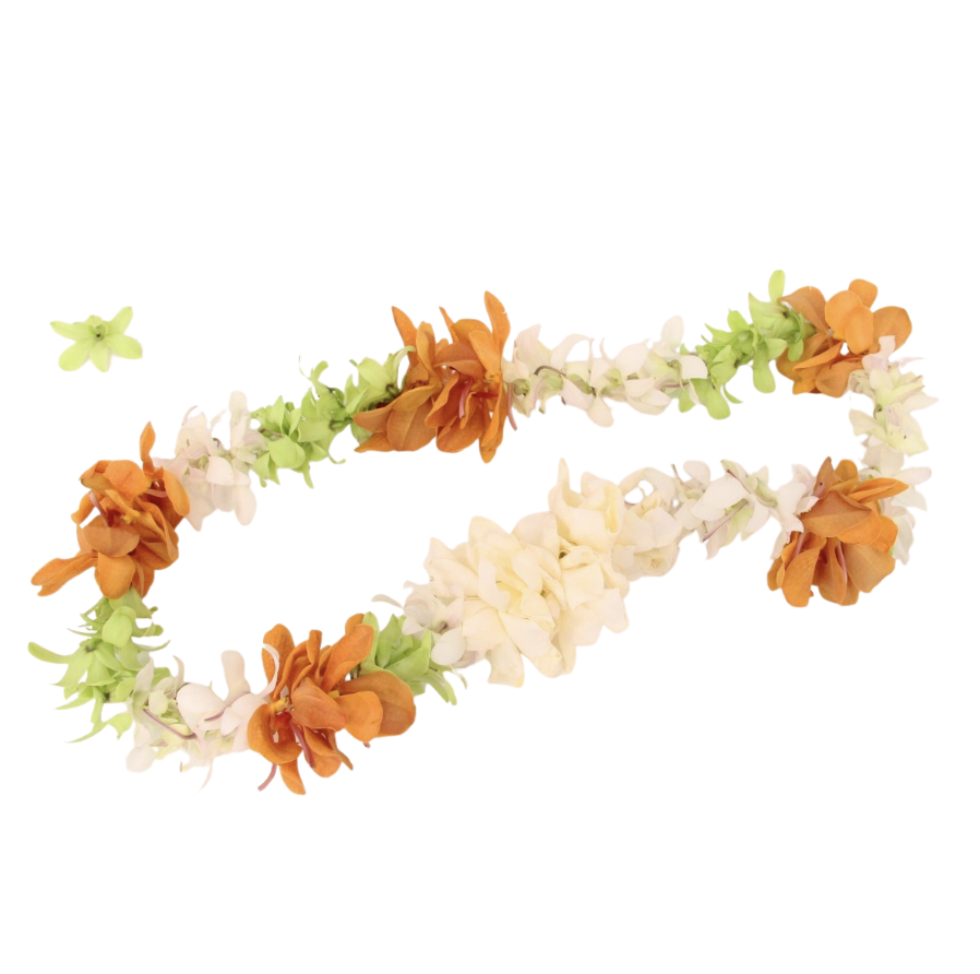 lei-1013 - Image 2