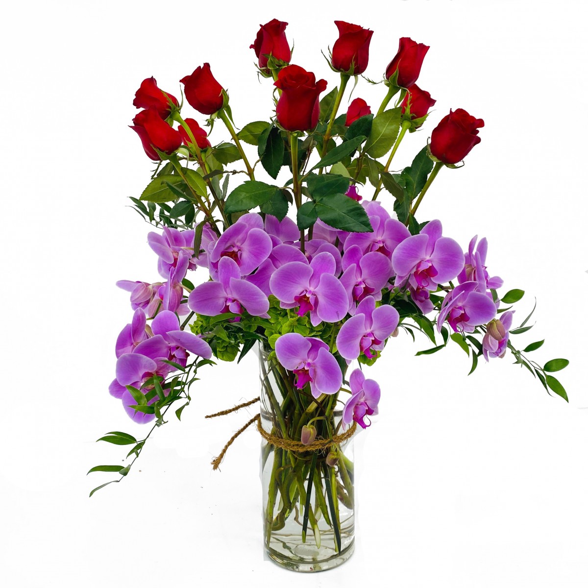 r-6923 - Image 2