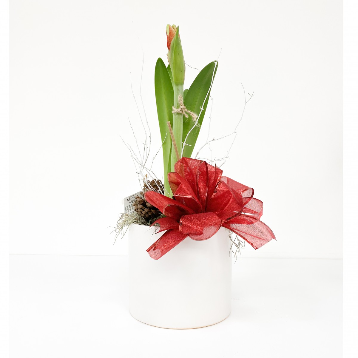 hp-0060 - Image 3