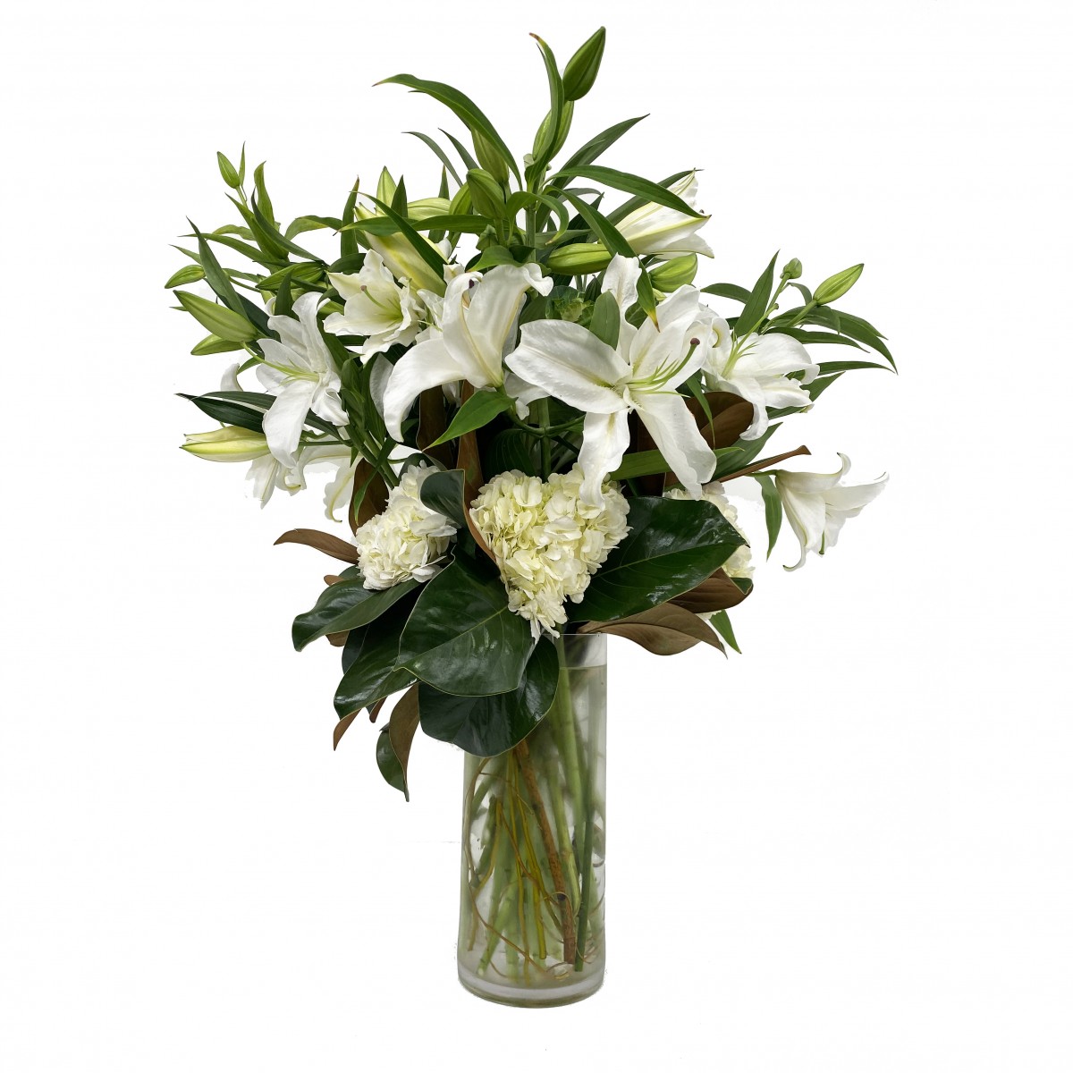 tva-0166 - Image 2