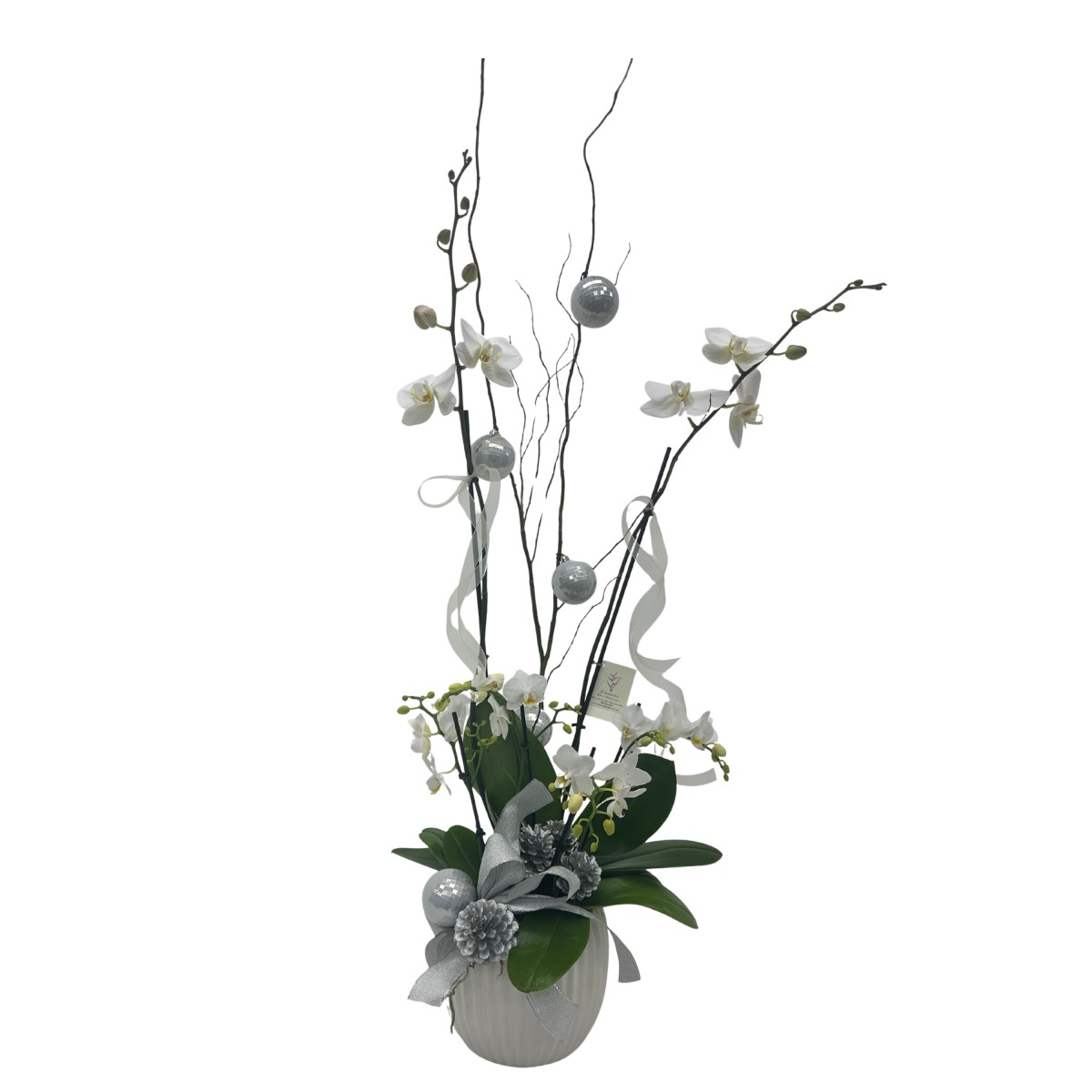 ha- 6016 - Image 2