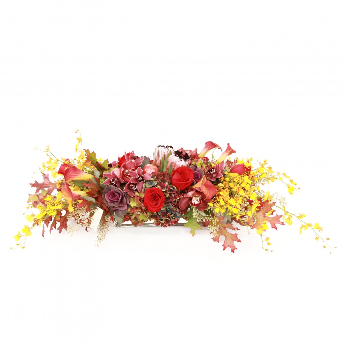 tg-0176 - Image 3