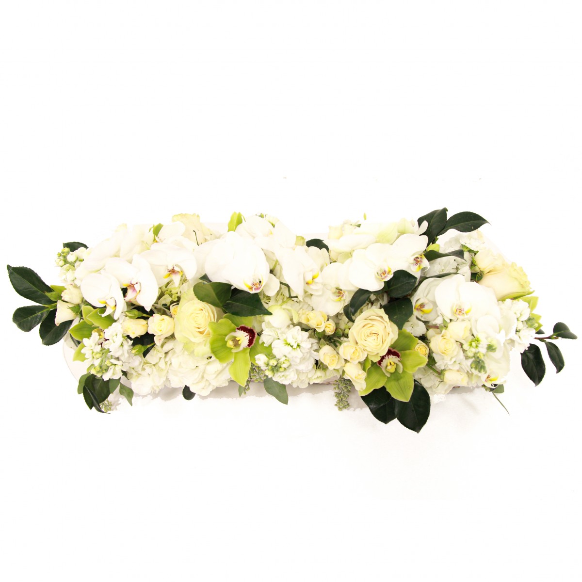 cpa-8497 - Image 2
