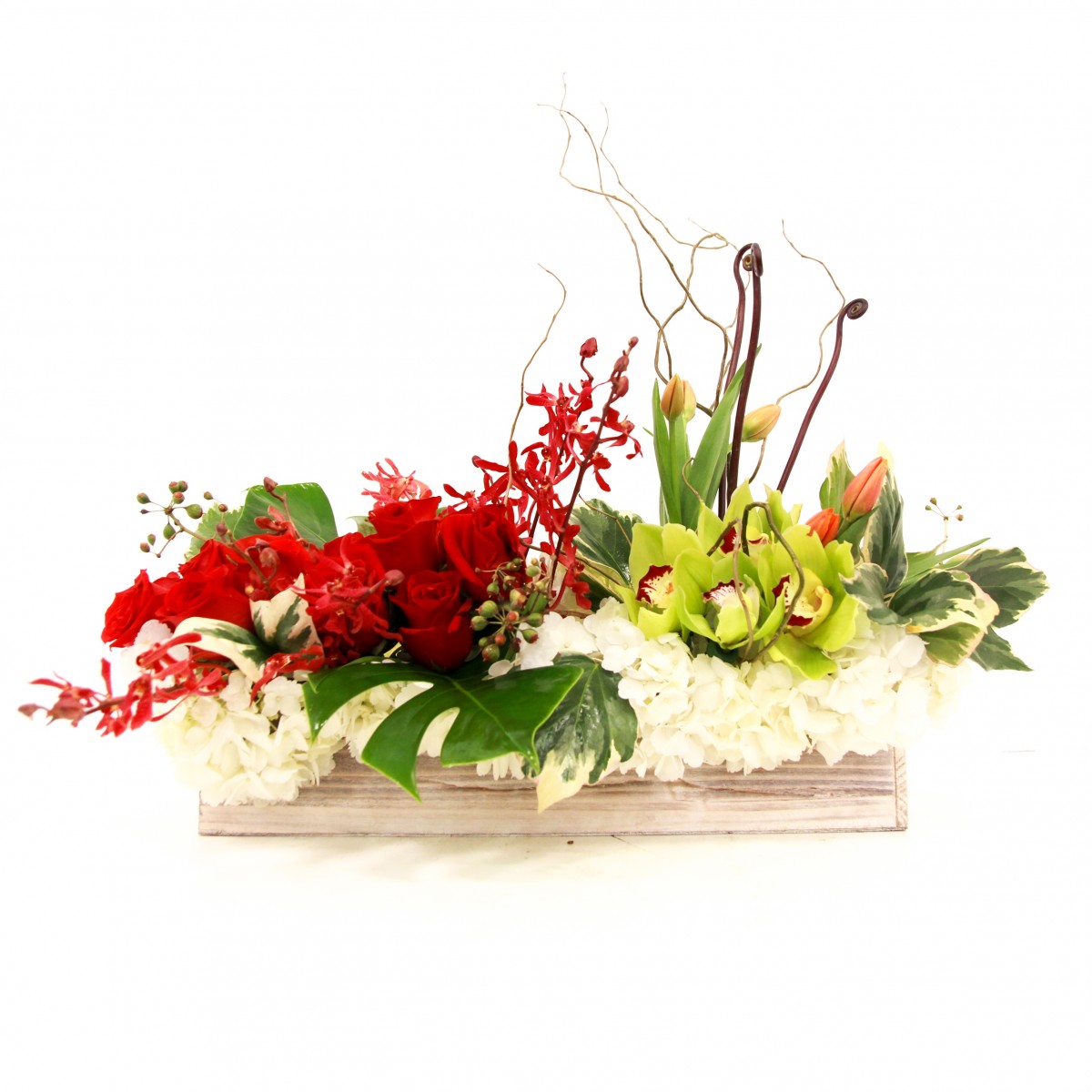 ha-5160 - Image 3