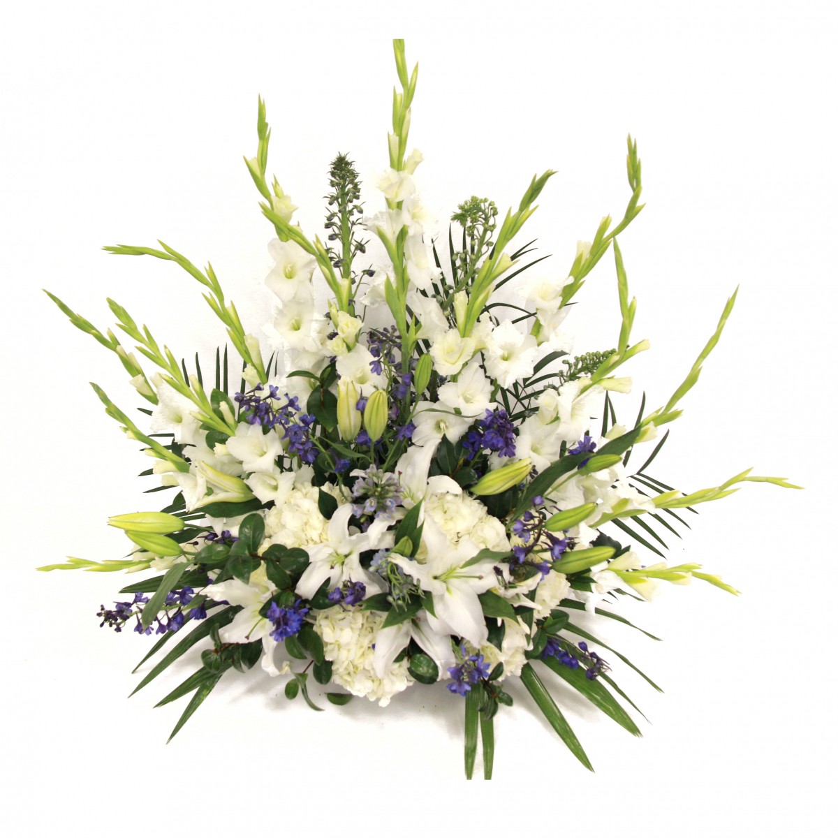 sb-5652 - Image 2