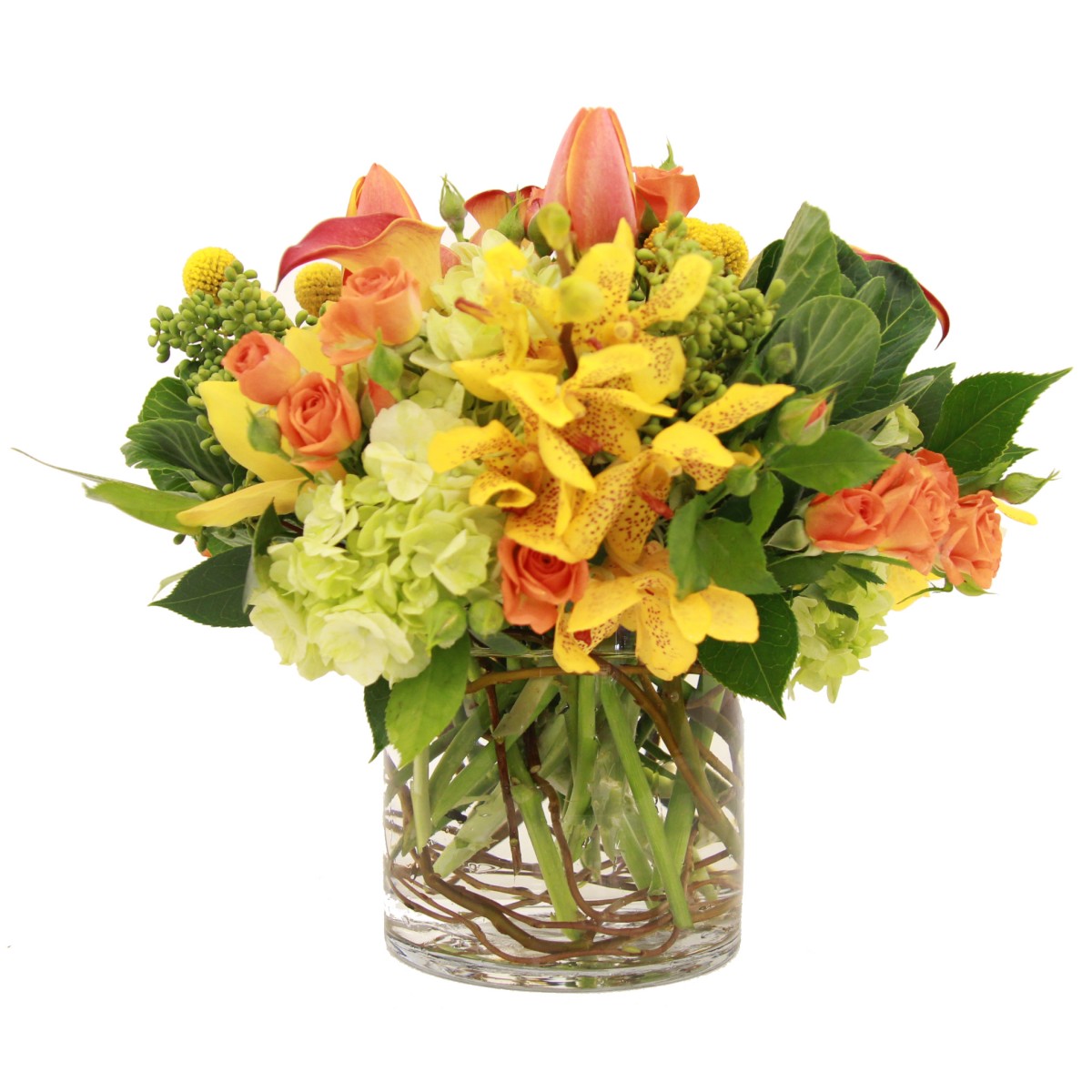scv-9993 - Image 2