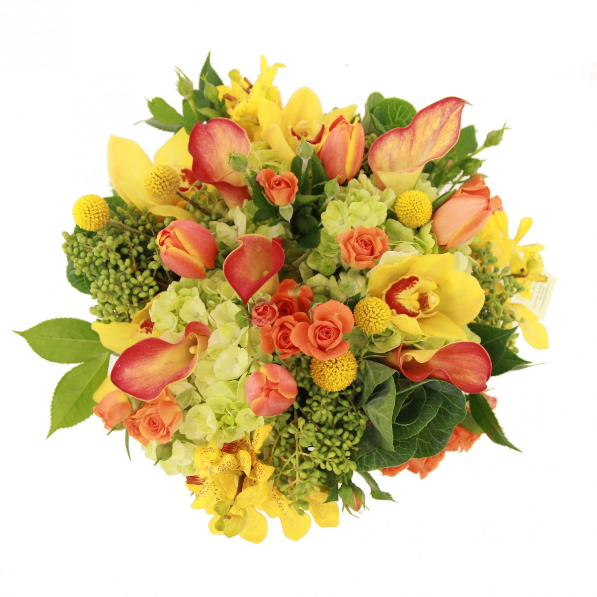 scv-9993 - Image 3