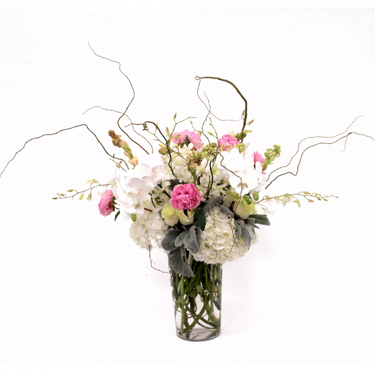 mtva-0759 - Image 2