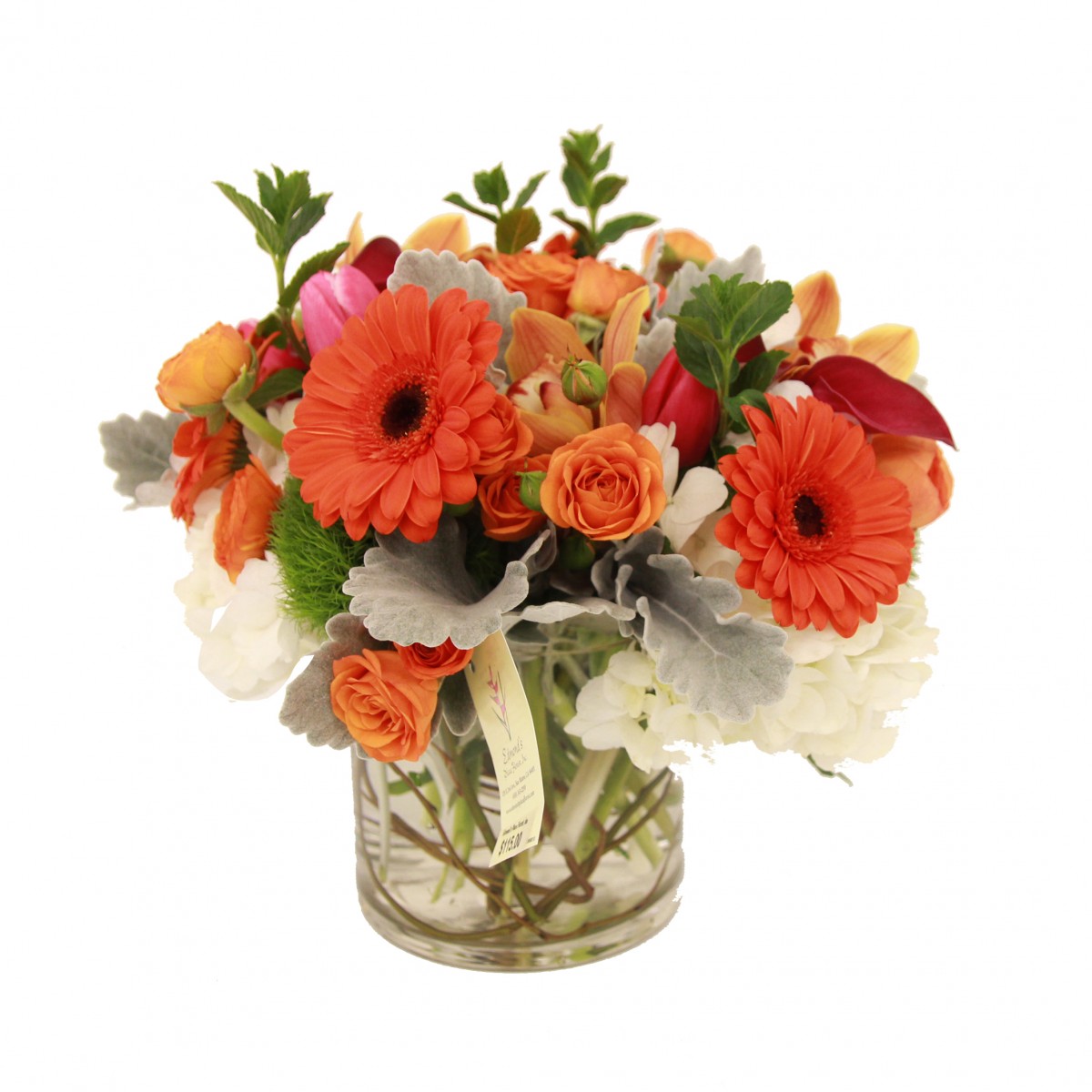 scv-10222 - Image 2