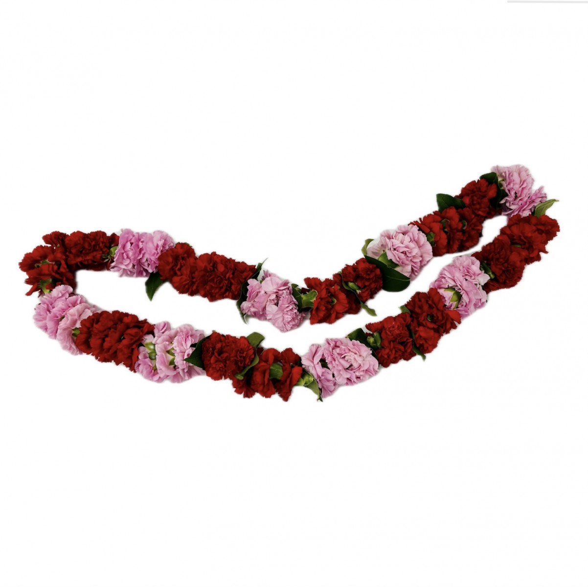 lei- 4040 - Image 2