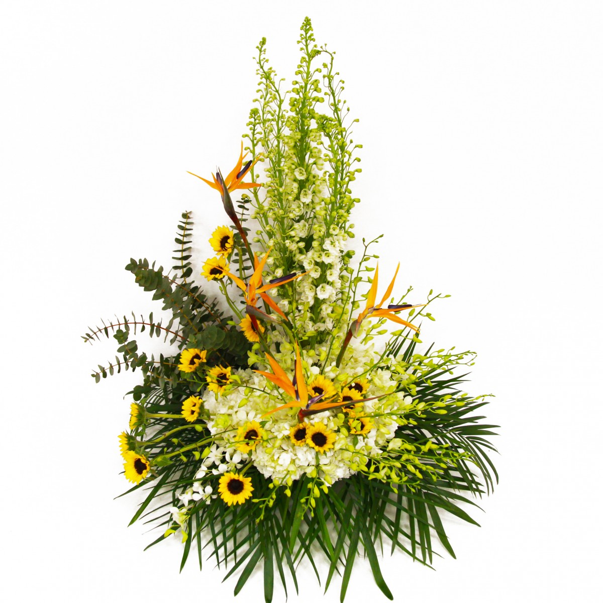 sb-5624 - Image 2