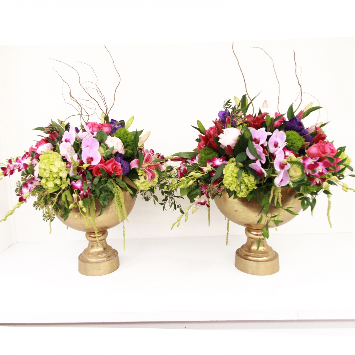 mv-0396 - Image 2