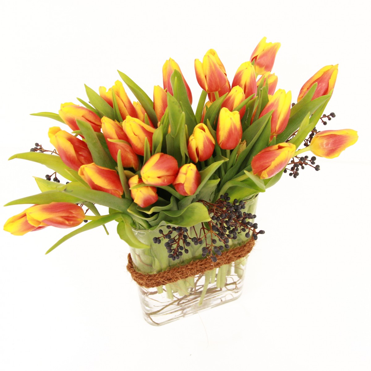 rv-1184 - Image 2