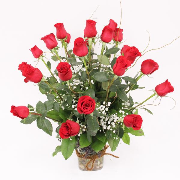 r-7795 - Image 3