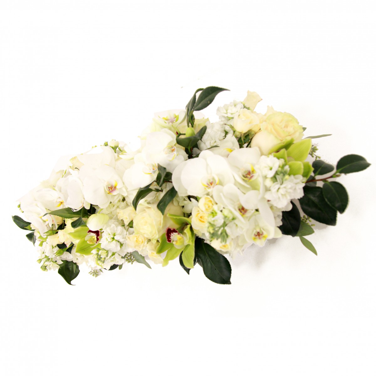 cpa-8497 - Image 3