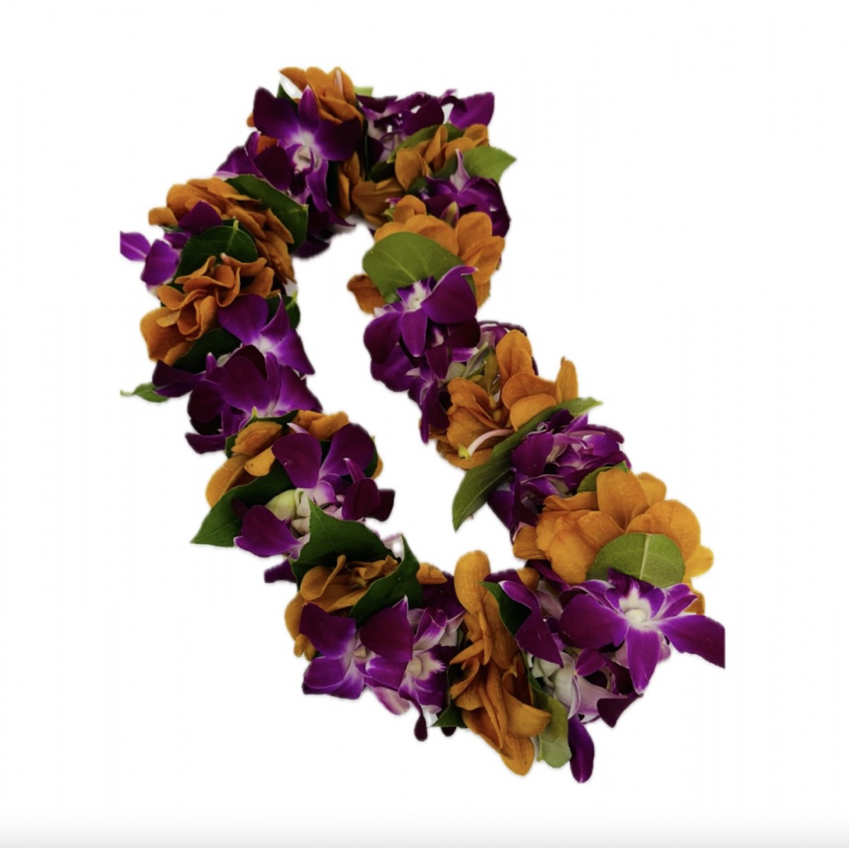 lei-4044 - Image 2