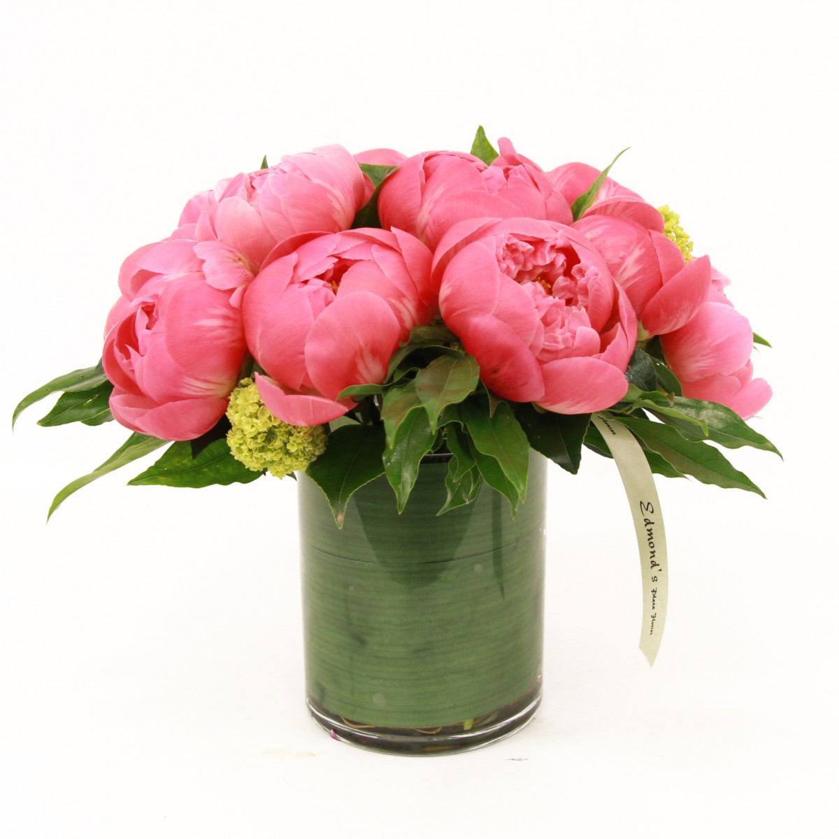 scv-7454 - Image 2