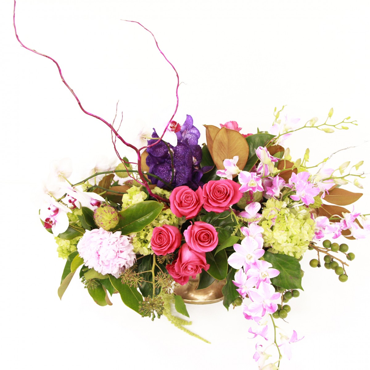 mv-0384 - Image 2
