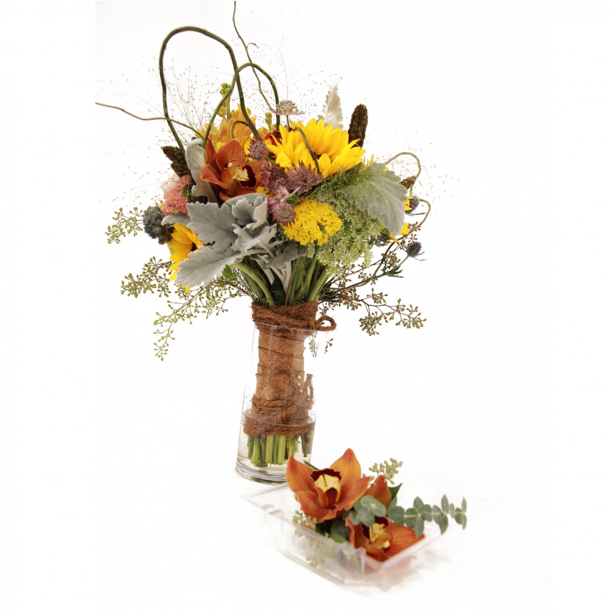 bq-6389 - Image 2