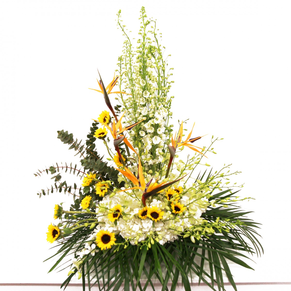 sb-5624 - Image 3