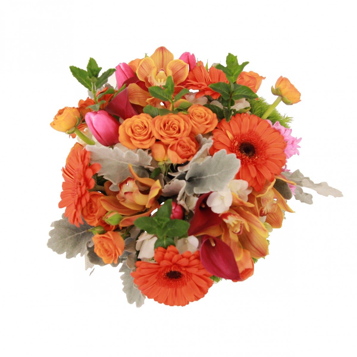 scv-10222 - Image 3