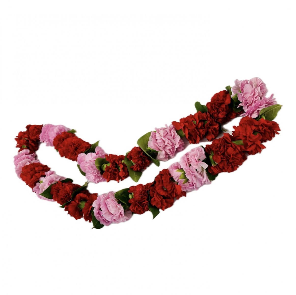 lei- 4040