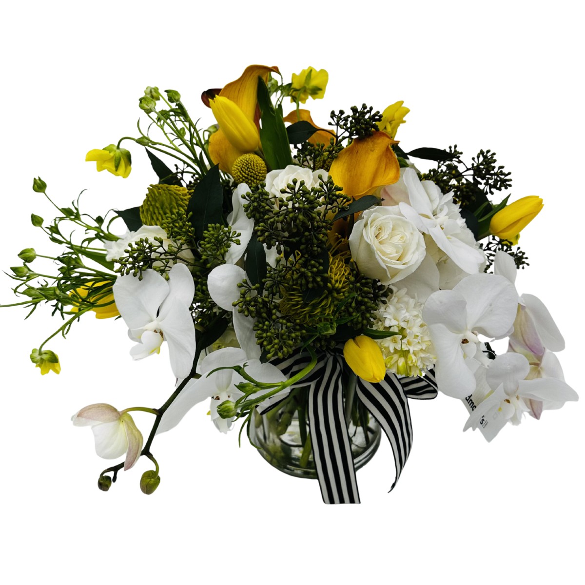 scv- 6022 - Image 4