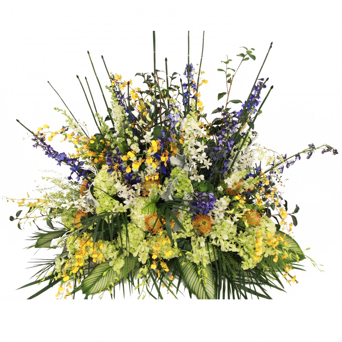sf-8468 - Image 3