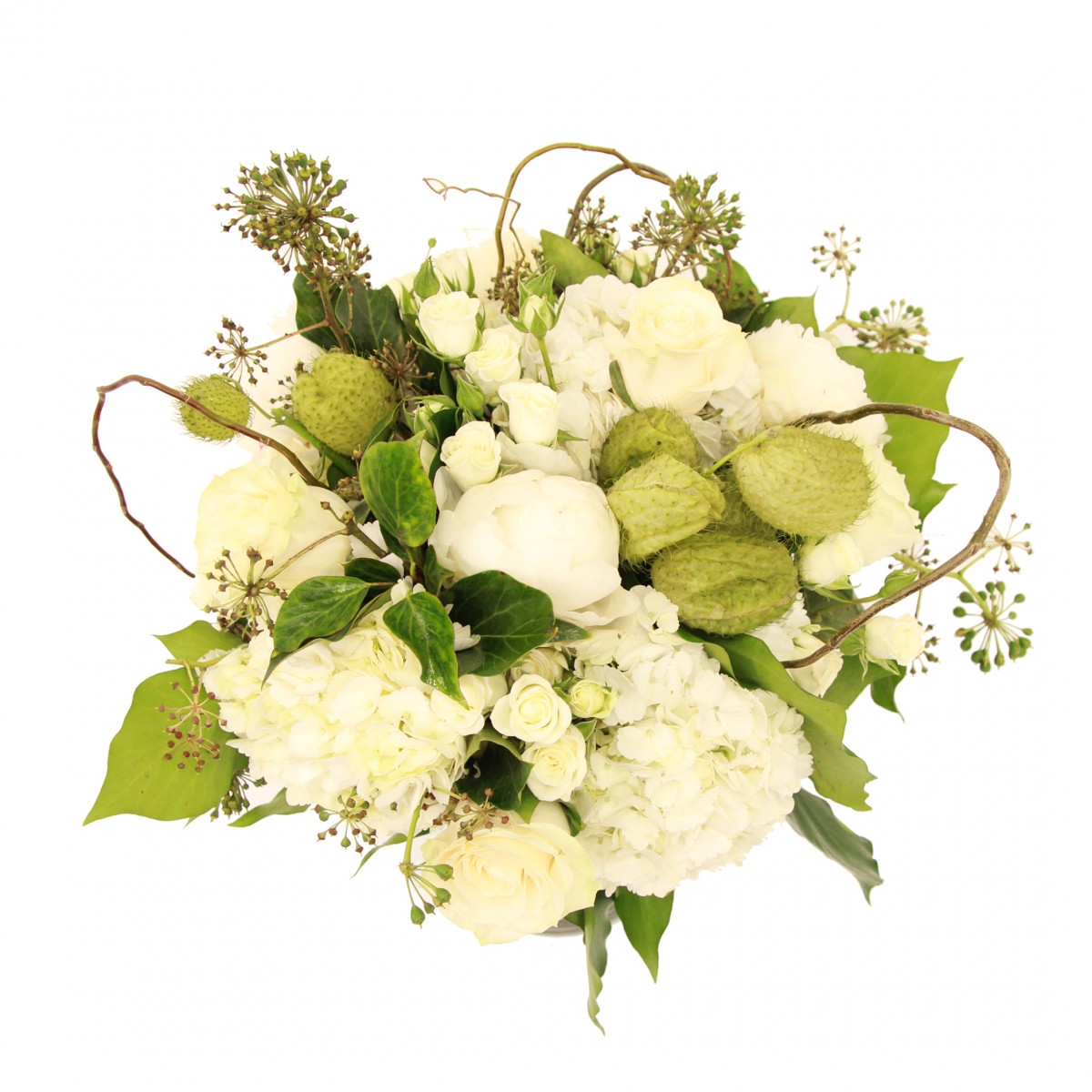 scv-0689 - Image 3