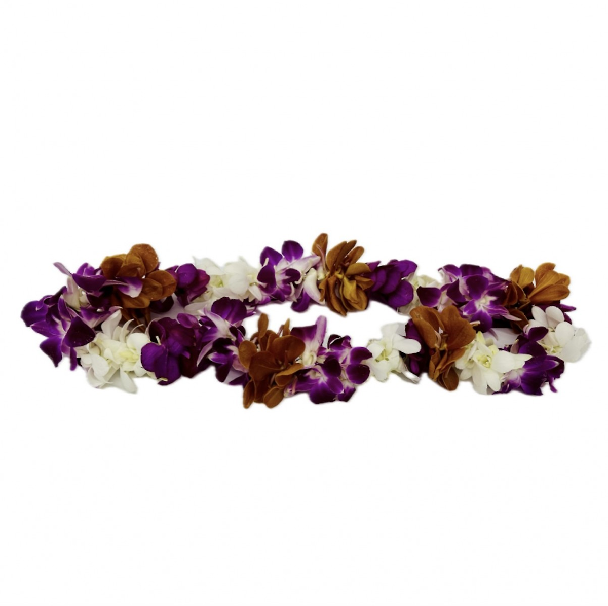 lei- 4038
