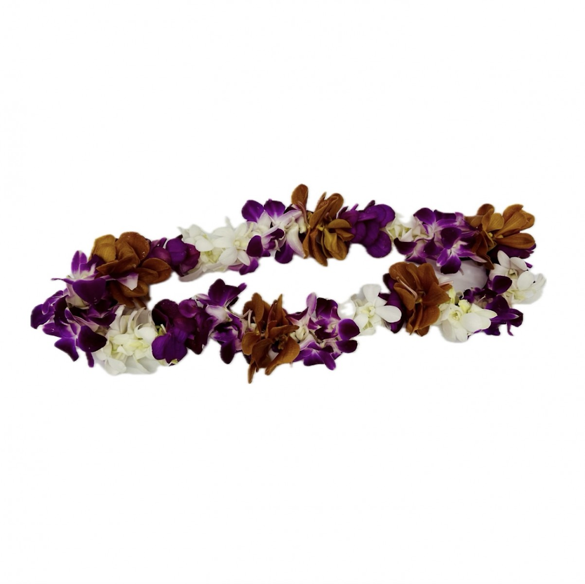 lei- 4038